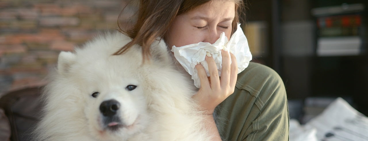 Allergie aux animaux domestiques